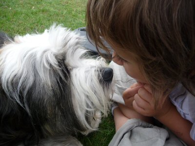 Pippin and Ben at the TTA fun day